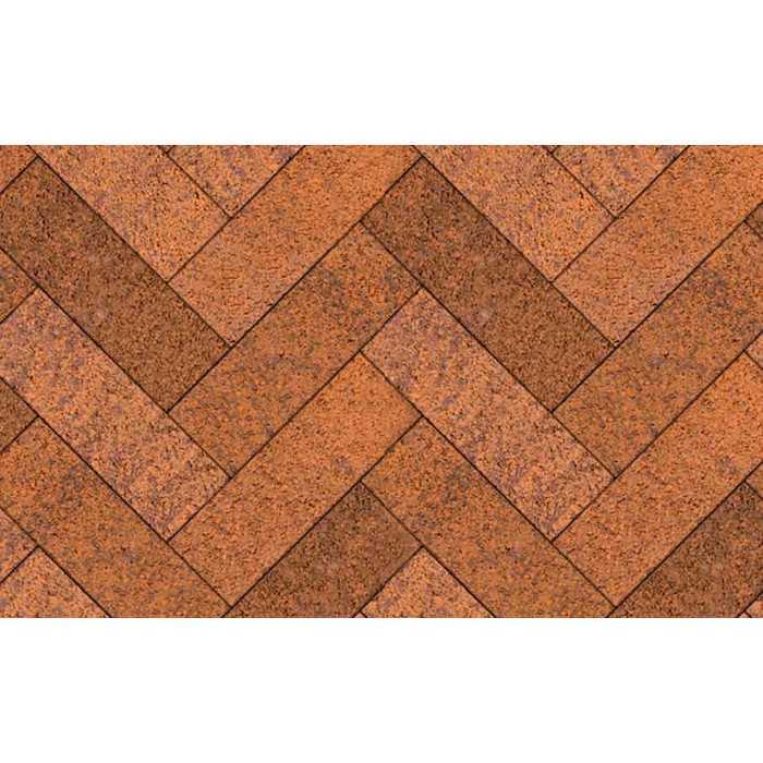 Плитка тротуарная Паркет Б.6.П.8 Листопад гладкий Арабская ночь 600x200x80 мм